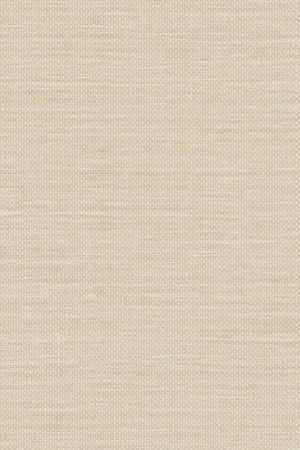 HookedOnWalls Long Island Cooper 26225 - LAB COLOUR THE WORLD