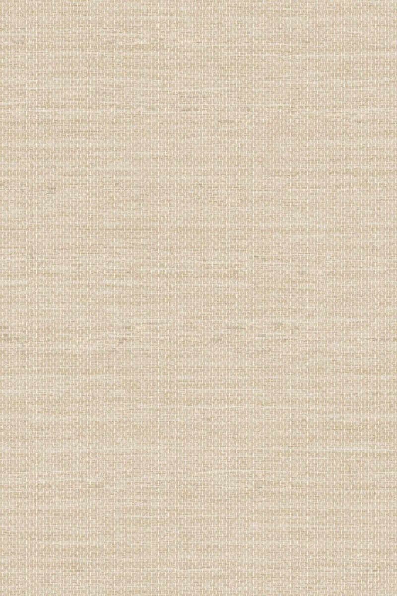 HookedOnWalls Long Island Cooper 26225 - LAB COLOUR THE WORLD