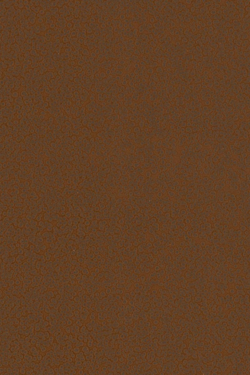 HookedOnWalls Material Matters Hammer Blow 24727 - LAB COLOUR THE WORLD