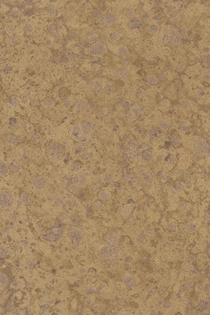 HookedOnWalls Material Matters Moonstone 24730 - LAB COLOUR THE WORLD
