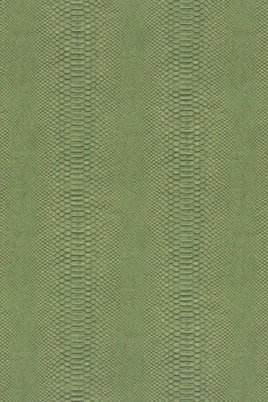 HookedOnWalls Material Matters Python 24720 - LAB COLOUR THE WORLD