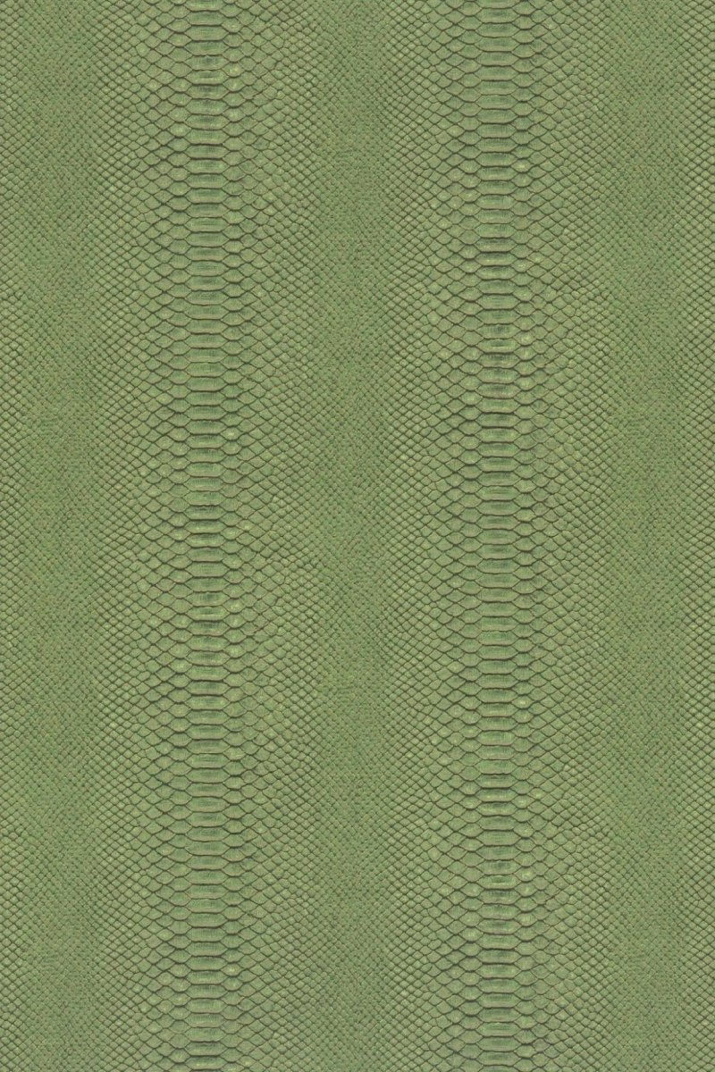 HookedOnWalls Material Matters Python 24720 - LAB COLOUR THE WORLD
