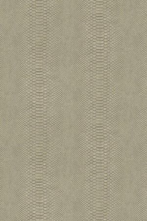 HookedOnWalls Material Matters Python 24721 - LAB COLOUR THE WORLD