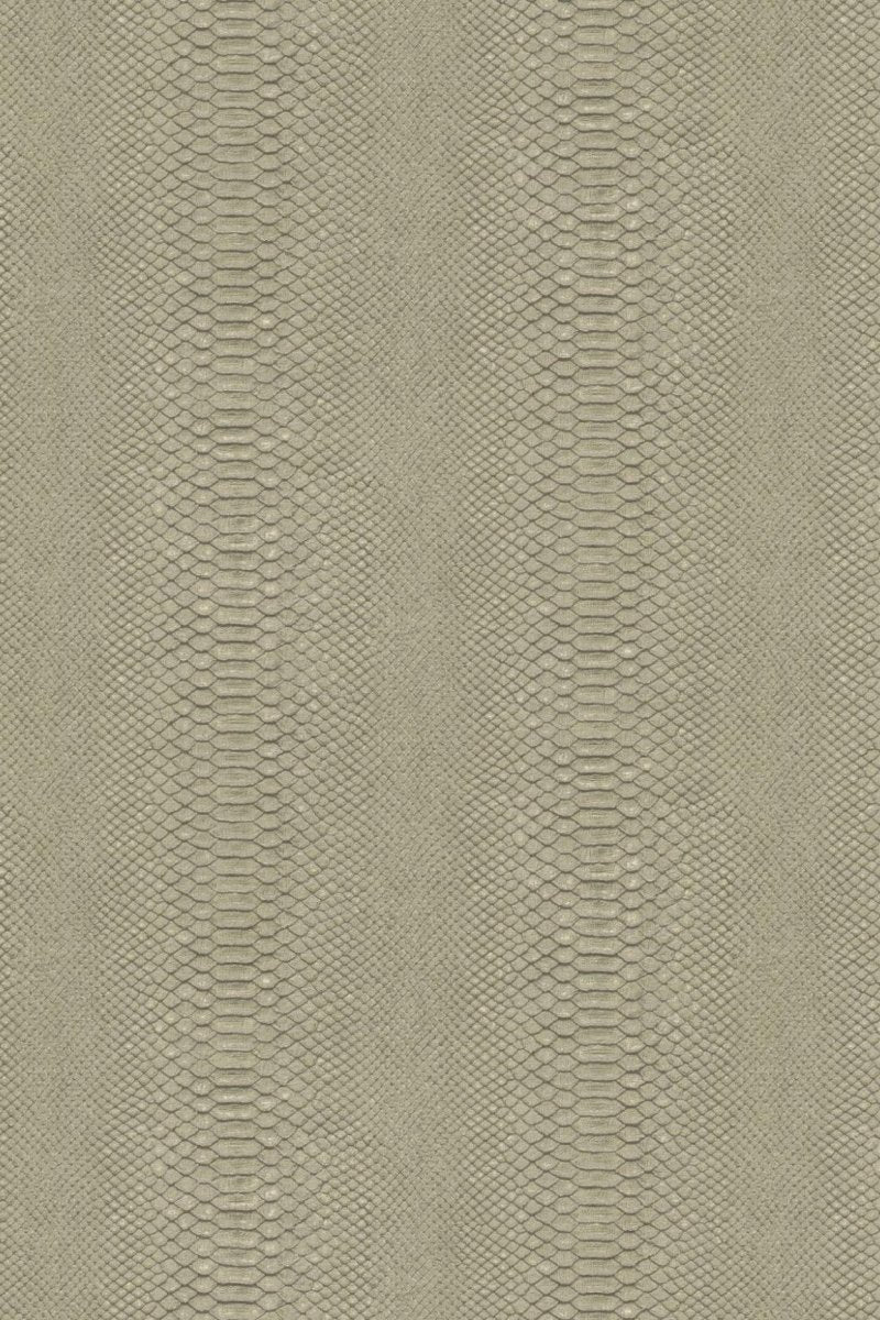 HookedOnWalls Material Matters Python 24721 - LAB COLOUR THE WORLD