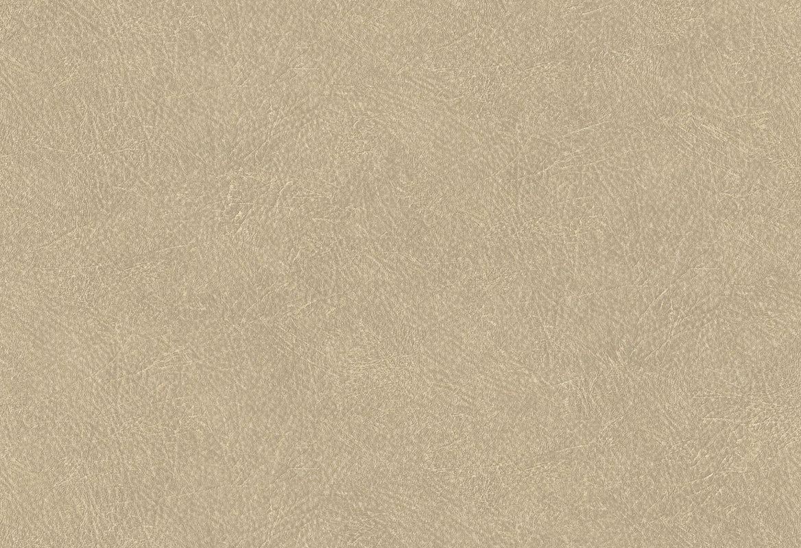 HookedOnWalls Passe Partout 2024 In The Mood behang 89748 - LAB COLOUR THE WORLD