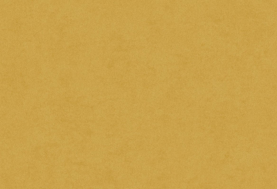 HookedOnWalls Passe Partout 2024 In The Mood behang 89788 - LAB COLOUR THE WORLD