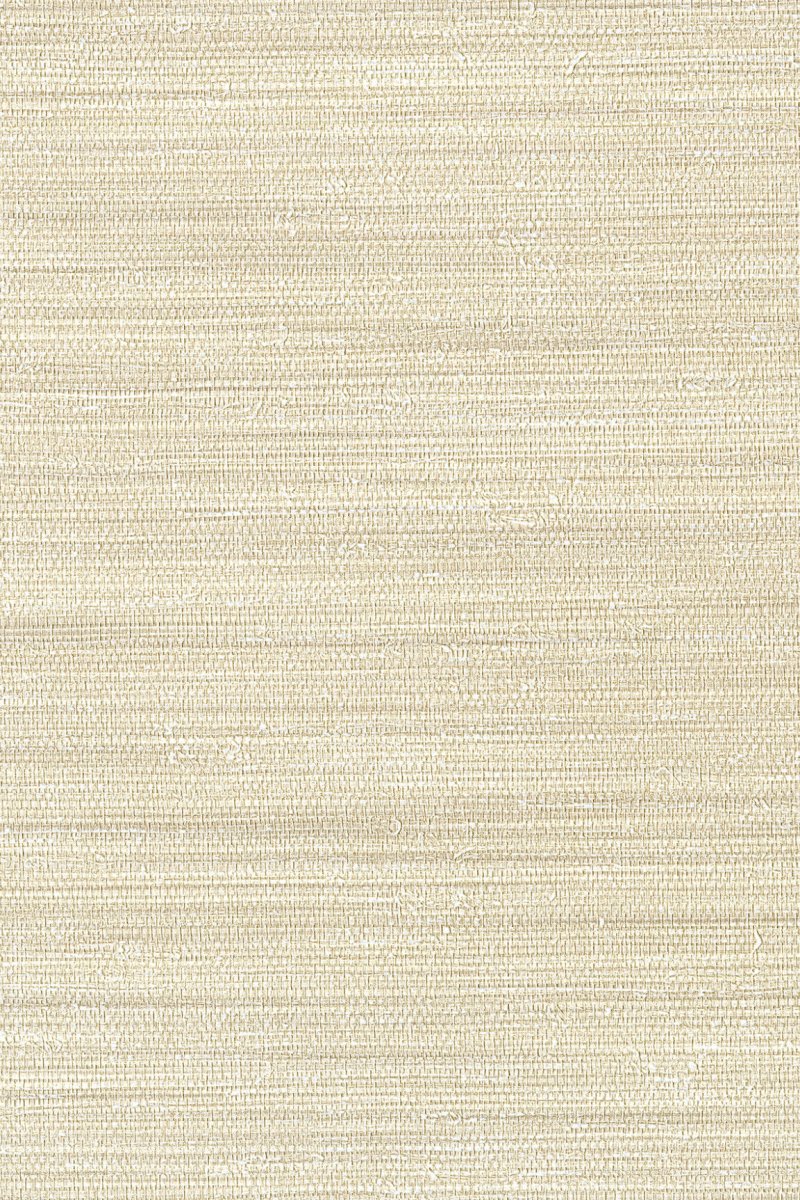 HookedOnWalls Passe Partout 2024 In The Mood behang 89808 - LAB COLOUR THE WORLD