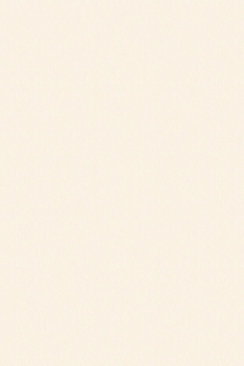 HookedOnWalls Passe Partout 2024 Off - White behang 89536 - LAB COLOUR THE WORLD