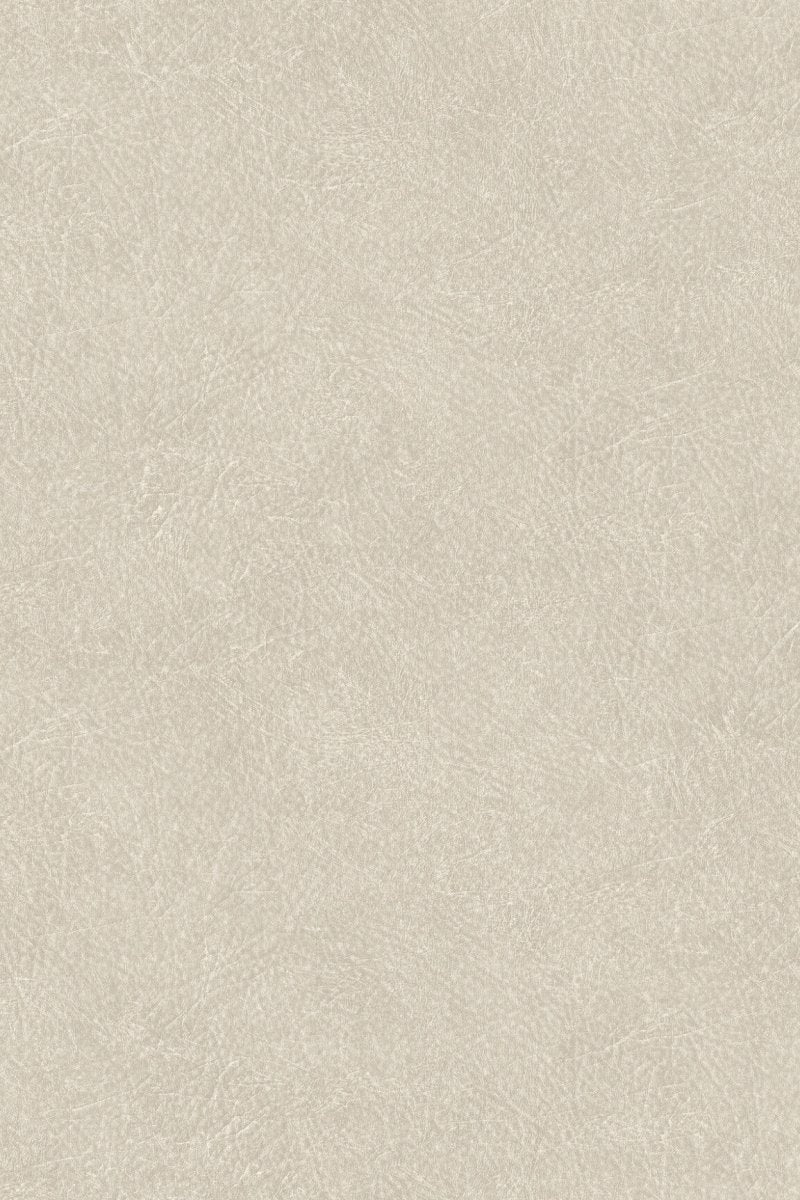 HookedOnWalls Passe Partout 2024 Off - White behang 89594 - LAB COLOUR THE WORLD