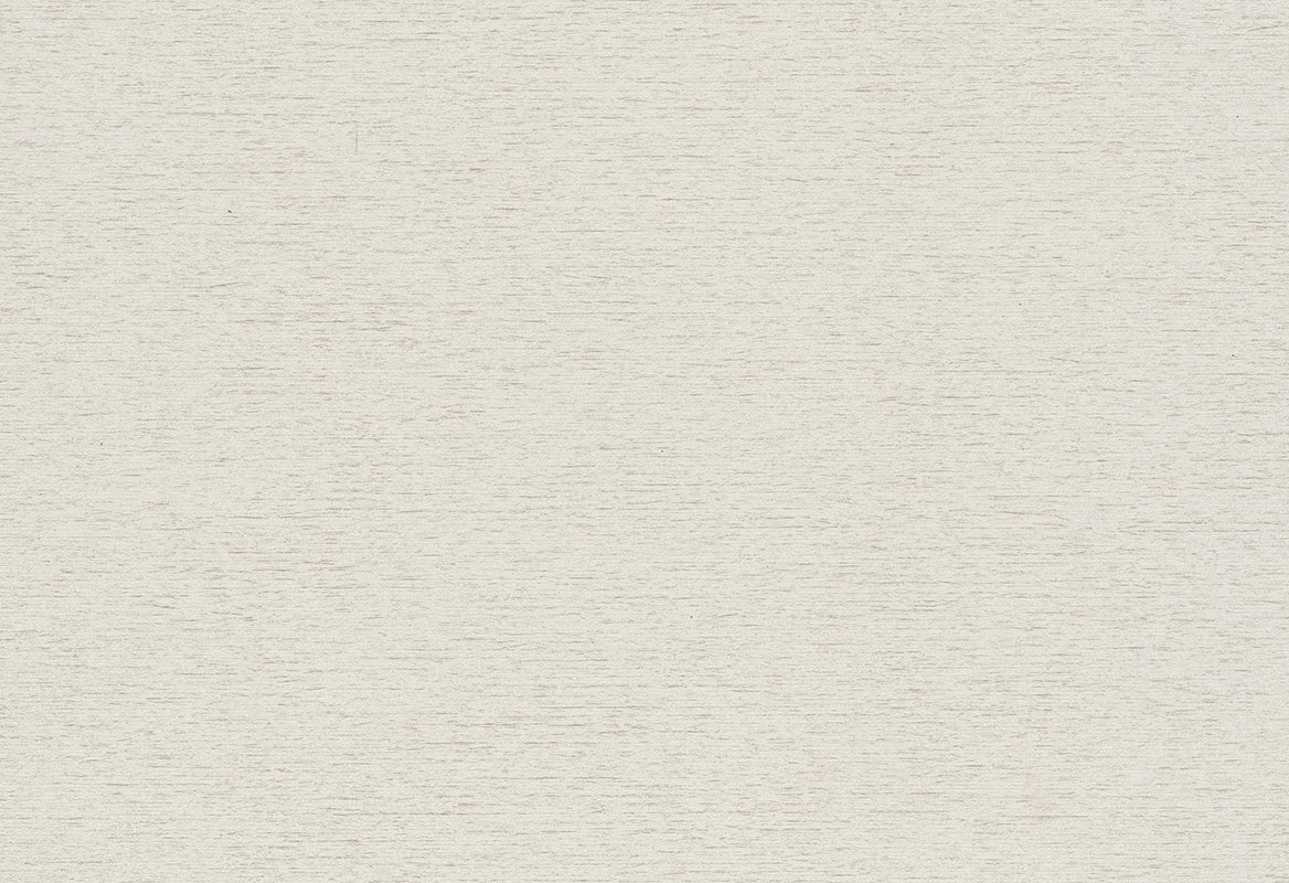 HookedOnWalls Passe Partout 2025 Tone on Tone Tone on Tone behang 4411 - LAB COLOUR THE WORLD