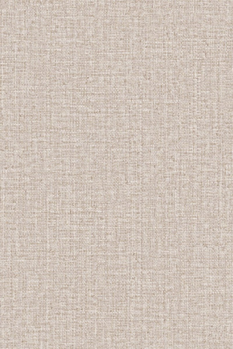 HookedOnWalls Passe Partout 2025 Tone on Tone Tone on Tone behang 4434 - LAB COLOUR THE WORLD