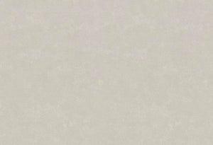 HookedOnWalls Passe Partout 2025 Tone on Tone Tone on Tone behang 4438 - LAB COLOUR THE WORLD