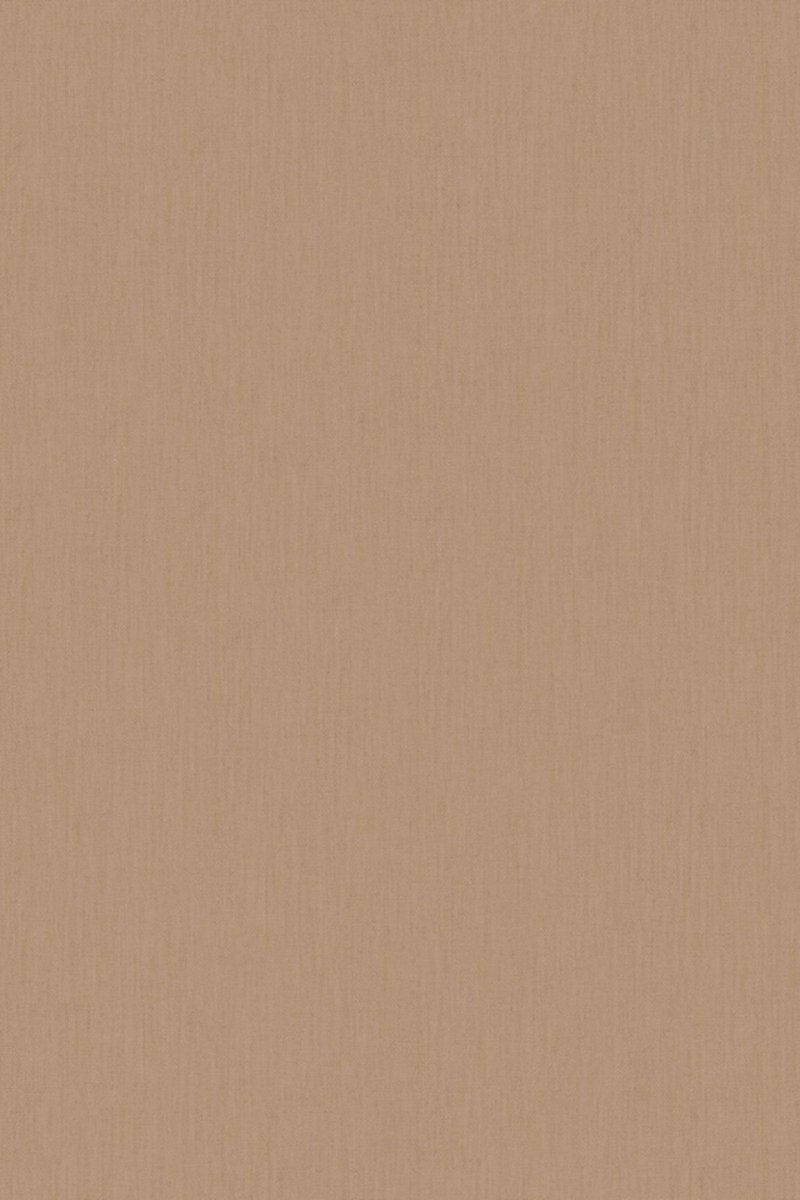 HookedOnWalls Passe Partout 2025 Tone on Tone Tone on Tone behang 4452 - LAB COLOUR THE WORLD