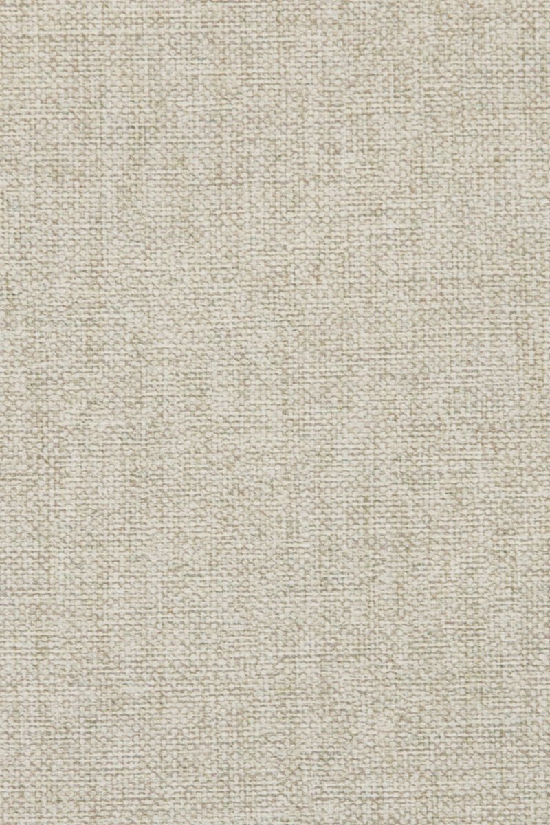 HookedOnWalls Passe Partout 2025 Tone on Tone Tone on Tone behang 4459 - LAB COLOUR THE WORLD