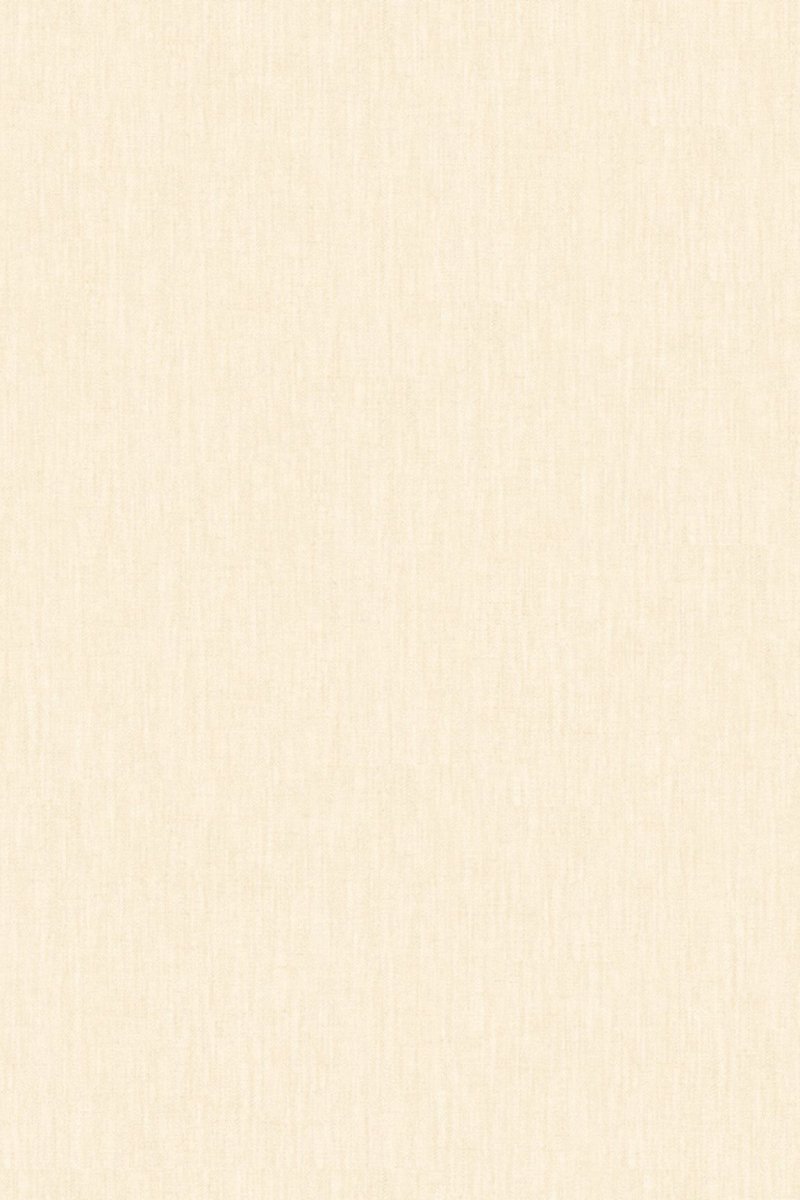 HookedOnWalls Passe Partout 2025 Tone on Tone Tone on Tone behang 4481 - LAB COLOUR THE WORLD