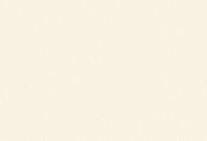 HookedOnWalls Passe Partout 2025 Tone on Tone Tone on Tone behang 4484 - LAB COLOUR THE WORLD