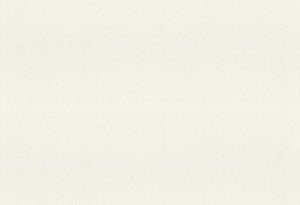 HookedOnWalls Passe Partout 2025 Tone on Tone Tone on Tone behang 4487 - LAB COLOUR THE WORLD