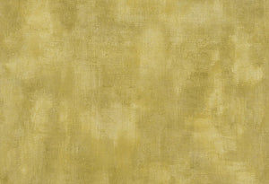 HookedOnWalls Passe Partout 2025 Tone on Tone Tone on Tone behang 4491 - LAB COLOUR THE WORLD