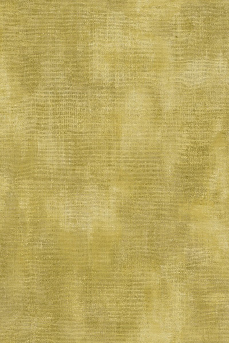 HookedOnWalls Passe Partout 2025 Tone on Tone Tone on Tone behang 4491 - LAB COLOUR THE WORLD