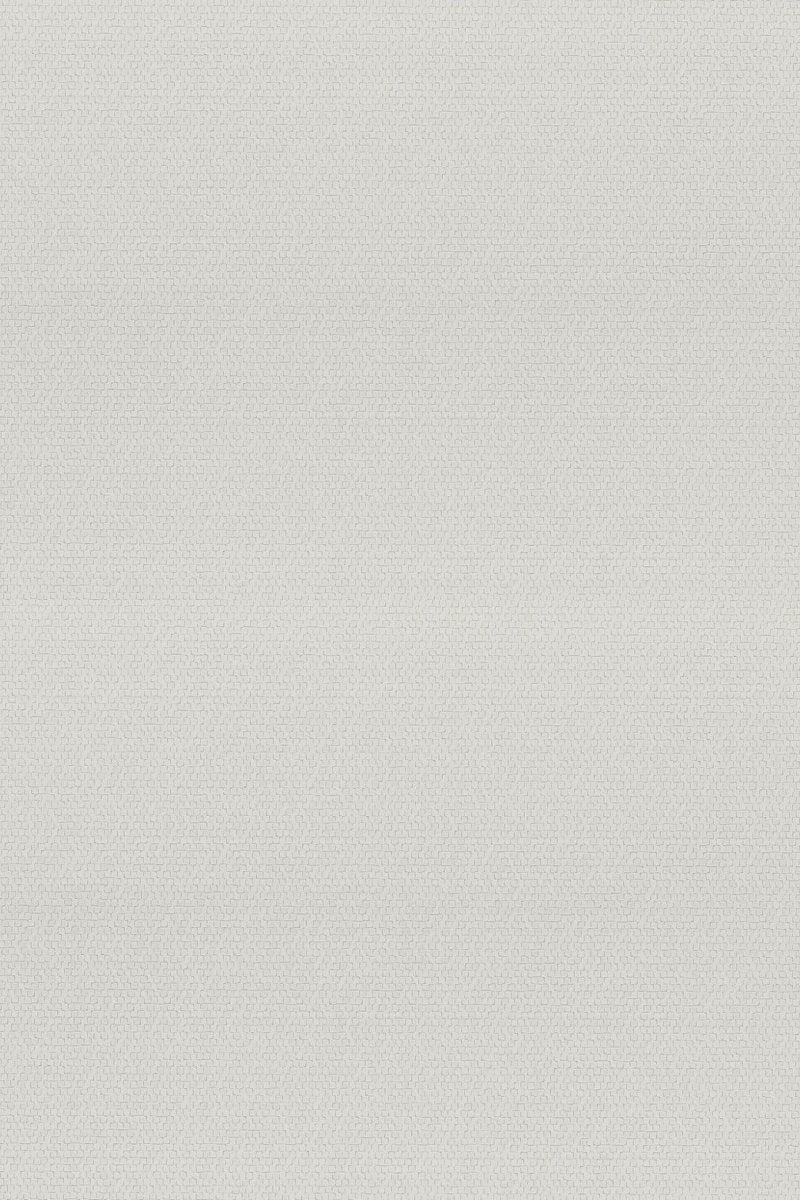 HookedOnWalls Passe Partout 2025 Tone on Tone Tone on Tone behang 4503 - LAB COLOUR THE WORLD