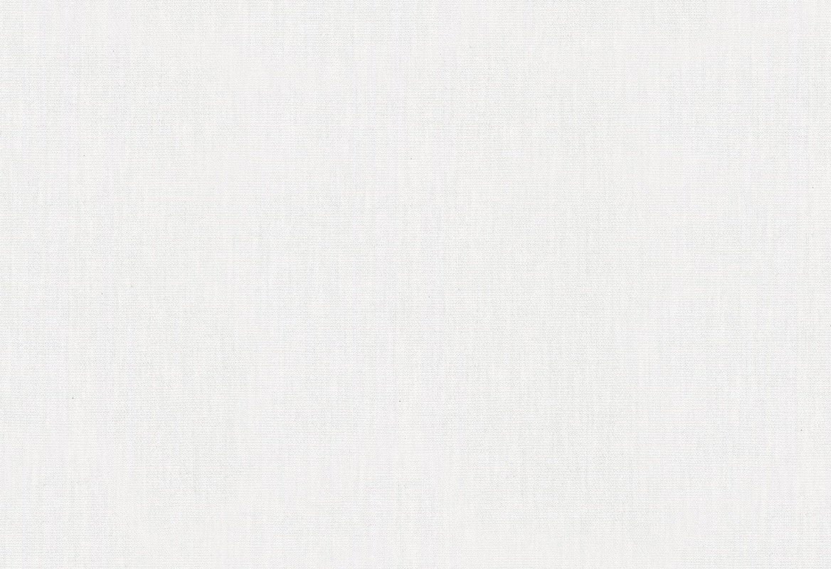 HookedOnWalls Passe Partout 2025 Tone on Tone Tone on Tone behang 4508 - LAB COLOUR THE WORLD