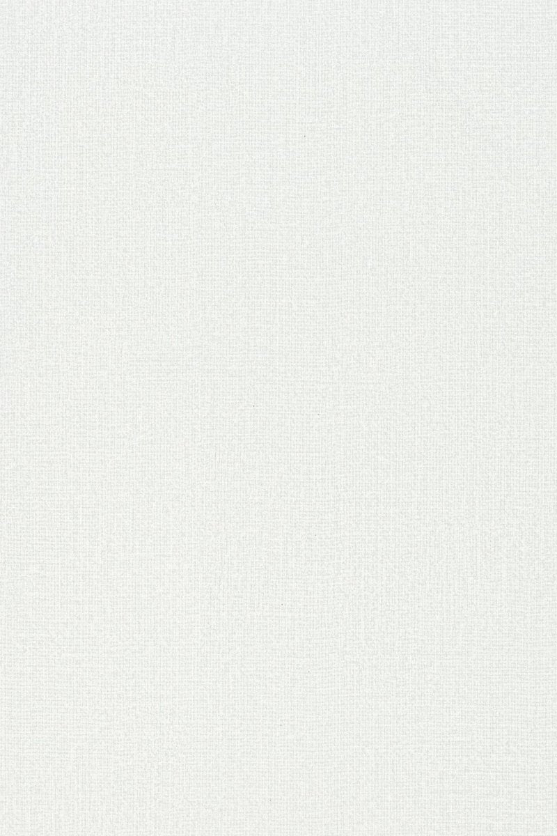 HookedOnWalls Passe Partout 2025 Tone on Tone Tone on Tone behang 4509 - LAB COLOUR THE WORLD
