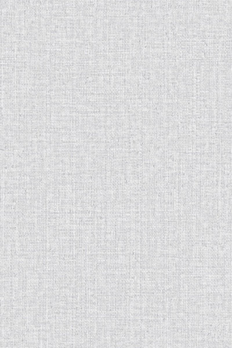 HookedOnWalls Passe Partout 2025 Tone on Tone Tone on Tone behang 4513 - LAB COLOUR THE WORLD