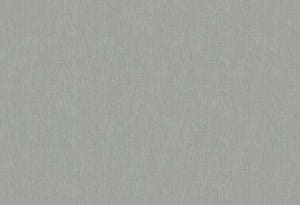 HookedOnWalls Passe Partout 2025 Tone on Tone Tone on Tone behang 4521 - LAB COLOUR THE WORLD