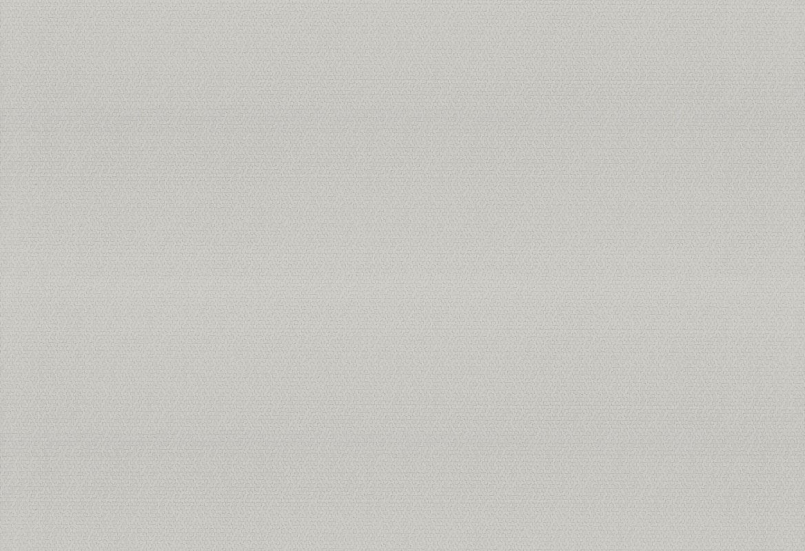 HookedOnWalls Passe Partout 2025 Tone on Tone Tone on Tone behang 4539 - LAB COLOUR THE WORLD