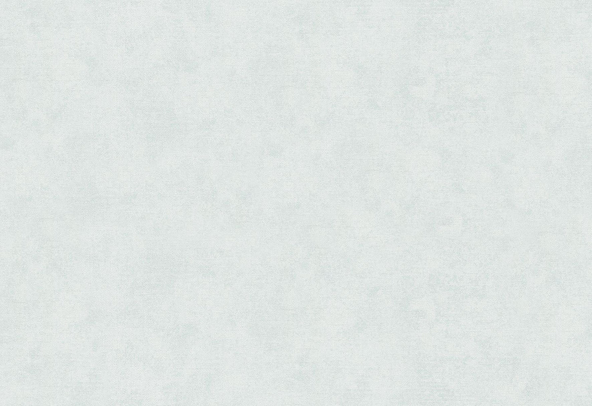 HookedOnWalls Passe Partout 2025 Tone on Tone Tone on Tone behang 4541 - LAB COLOUR THE WORLD