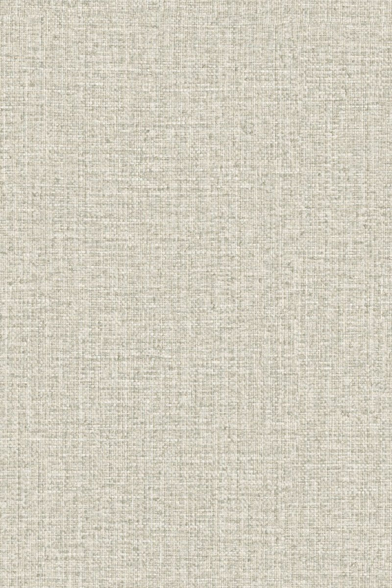 HookedOnWalls Passe Partout 2025 Tone on Tone Tone on Tone behang 4566 - LAB COLOUR THE WORLD