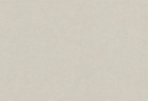 HookedOnWalls Passe Partout 2025 Tone on Tone Tone on Tone behang 4570 - LAB COLOUR THE WORLD