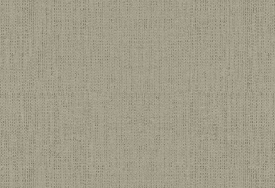 HookedOnWalls Passe Partout 2025 Tone on Tone Tone on Tone behang 4572 - LAB COLOUR THE WORLD