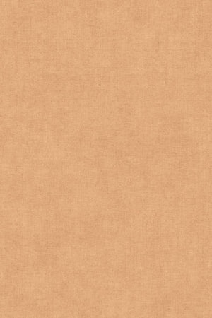 HookedOnWalls Promenade Sand 20241 - LAB COLOUR THE WORLD