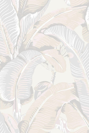 HookedOnWalls Scalamandre Hinson Palm JV26009 - LAB COLOUR THE WORLD