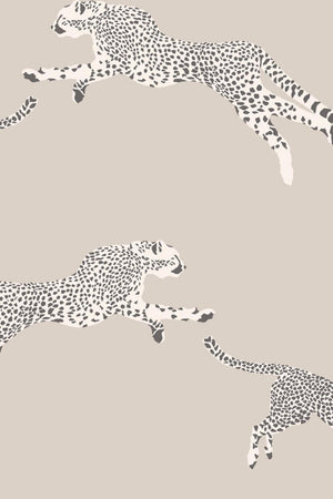 HookedOnWalls Scalamandre Leaping Cheetah JV26022 - LAB COLOUR THE WORLD