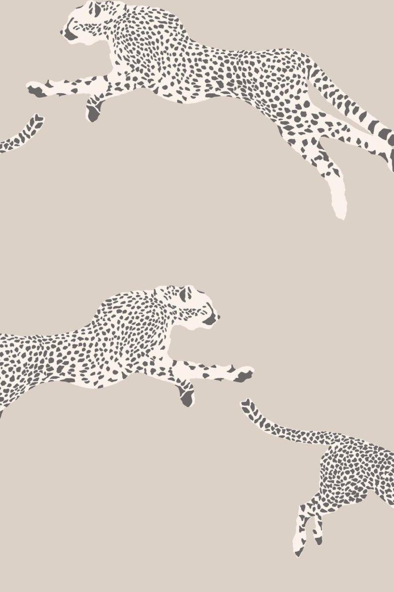 HookedOnWalls Scalamandre Leaping Cheetah JV26022 - LAB COLOUR THE WORLD