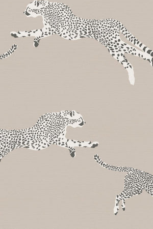 HookedOnWalls Scalamandre Leaping Cheetah JV26023 - LAB COLOUR THE WORLD