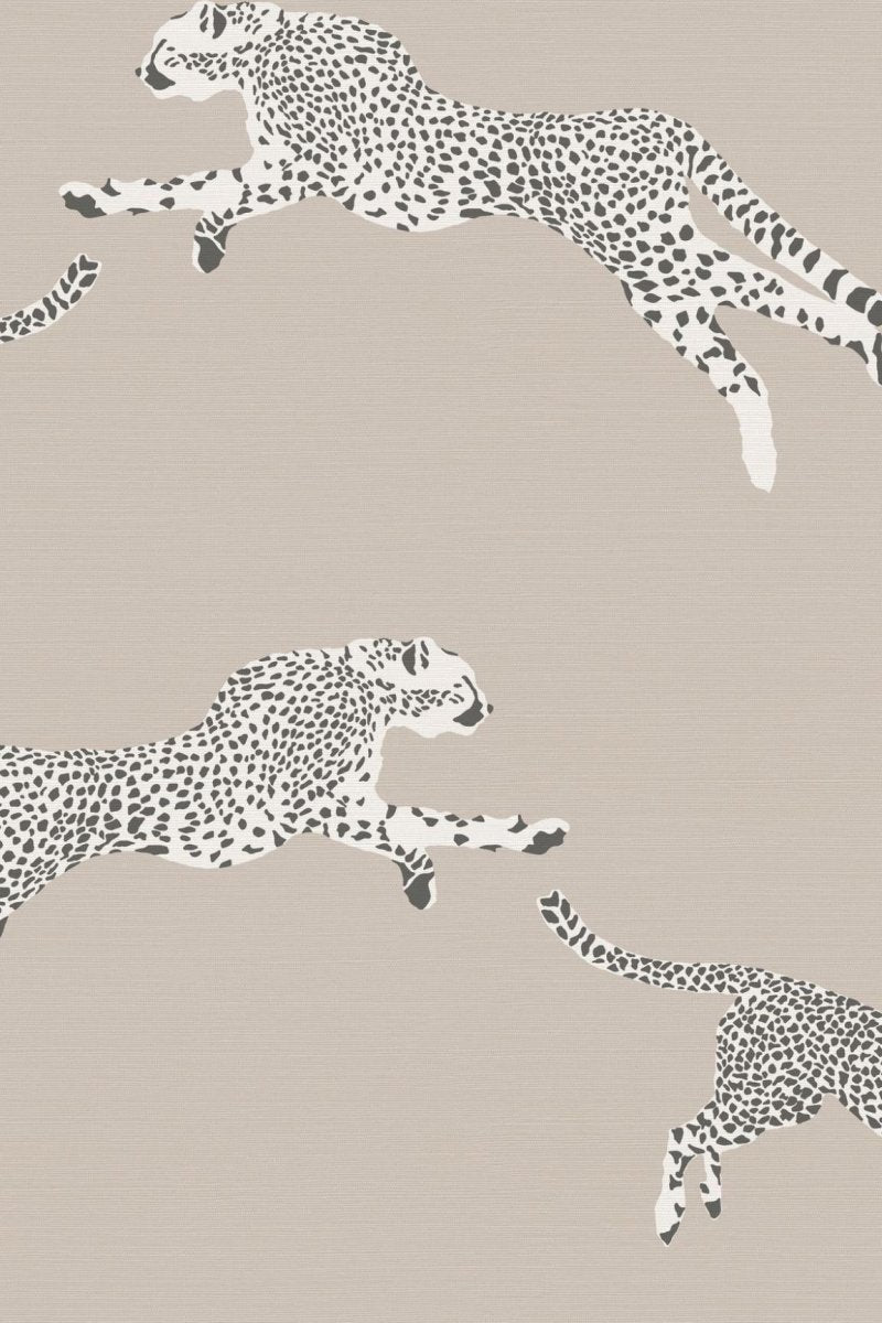 HookedOnWalls Scalamandre Leaping Cheetah JV26023 - LAB COLOUR THE WORLD