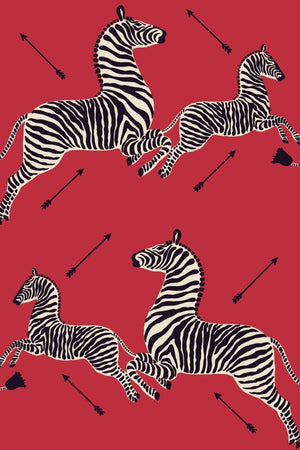 HookedOnWalls Scalamandre Zebras JV26000 - LAB COLOUR THE WORLD