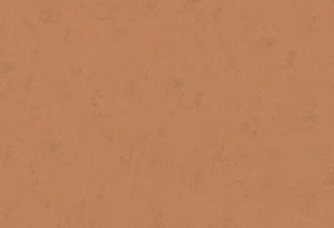 HookedOnWalls Terra Cotta Print 1 behang 42138 - LAB COLOUR THE WORLD