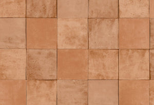 HookedOnWalls Terra Cotta Print 4 behang 42144 - LAB COLOUR THE WORLD