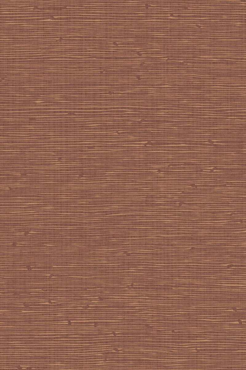 HookedOnWalls Tribu (By HW) Dinka 29350 - LAB COLOUR THE WORLD
