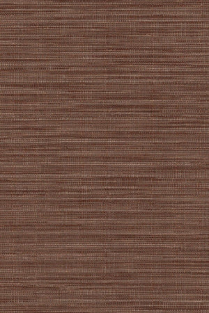 HookedOnWalls Tribu (By HW) Kasai 29341 - LAB COLOUR THE WORLD