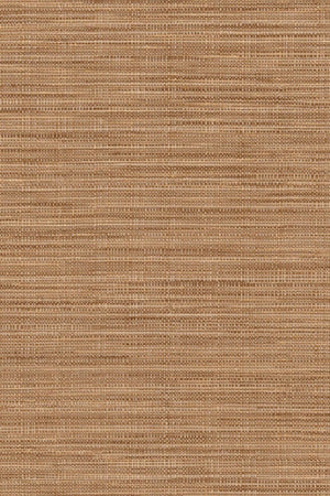 HookedOnWalls Tribu (By HW) Kasai 29342 - LAB COLOUR THE WORLD