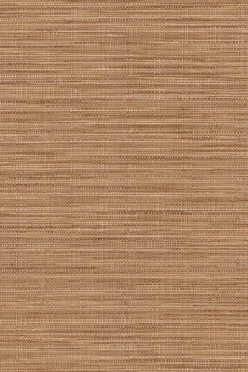 HookedOnWalls Tribu (By HW) Kasai 29342 - LAB COLOUR THE WORLD