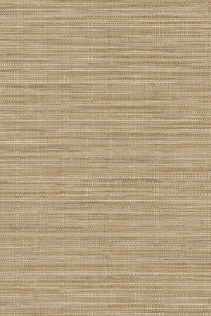 HookedOnWalls Tribu (By HW) Kasai 29343 - LAB COLOUR THE WORLD