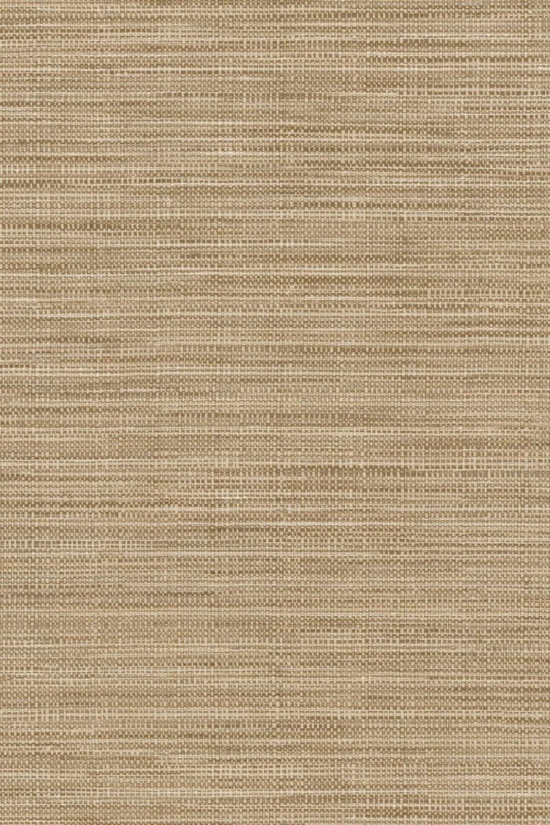 HookedOnWalls Tribu (By HW) Kasai 29343 - LAB COLOUR THE WORLD