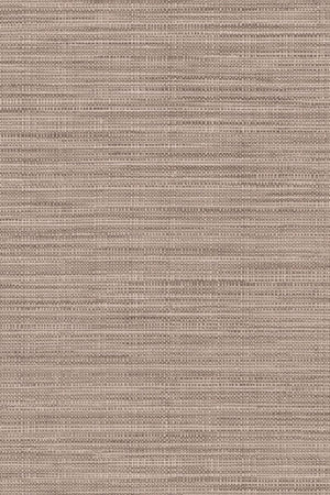HookedOnWalls Tribu (By HW) Kasai 29344 - LAB COLOUR THE WORLD