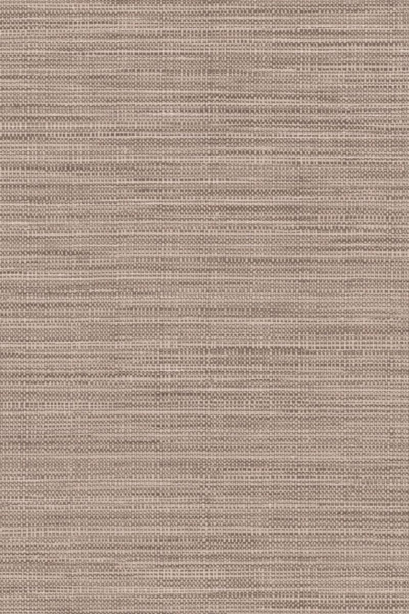 HookedOnWalls Tribu (By HW) Kasai 29344 - LAB COLOUR THE WORLD